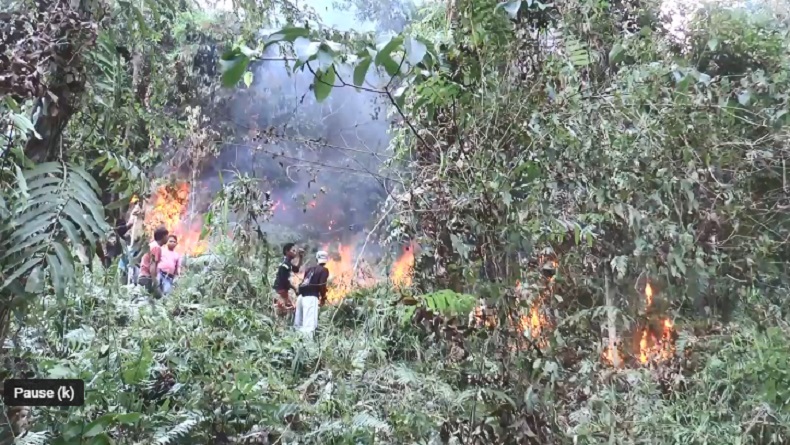 Kebakaran di Gunung Bombo Polewali Mandar, Api Dekati Permukiman Warga ...