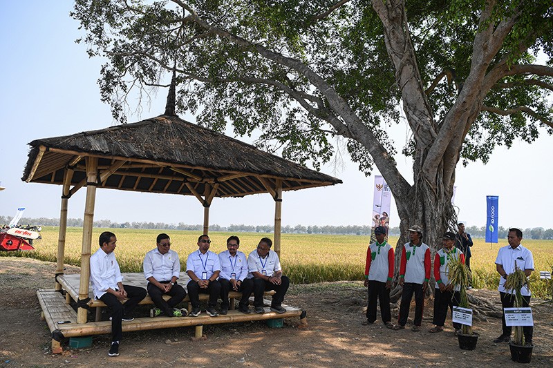 Presiden Jokowi bersama Plt Mentan Tinjau Panen Padi di Subang - Bagian 3