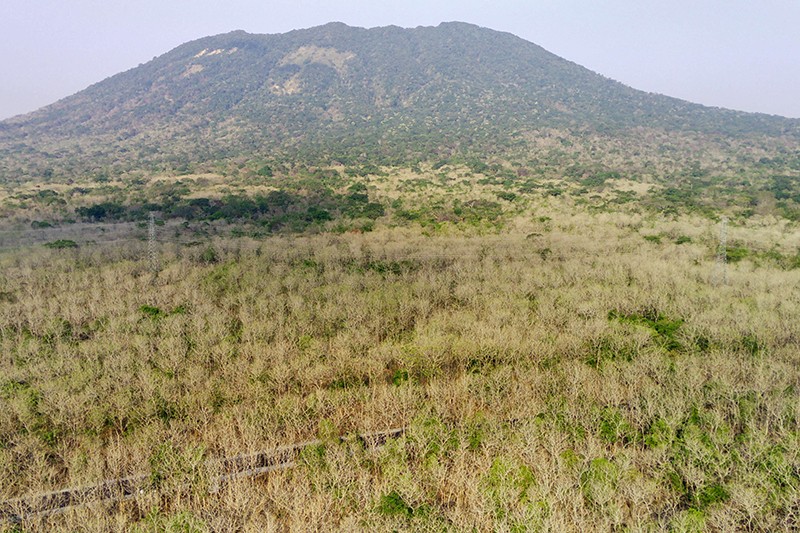 Hamparan Hutan Jati Taman Nasional Baluran Seluas 5.000 Hektare - Bagian 4