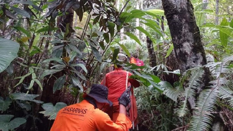 Lansia di Sangihe Hilang di Kebun, Seminggu Tidak Pulang Rumah