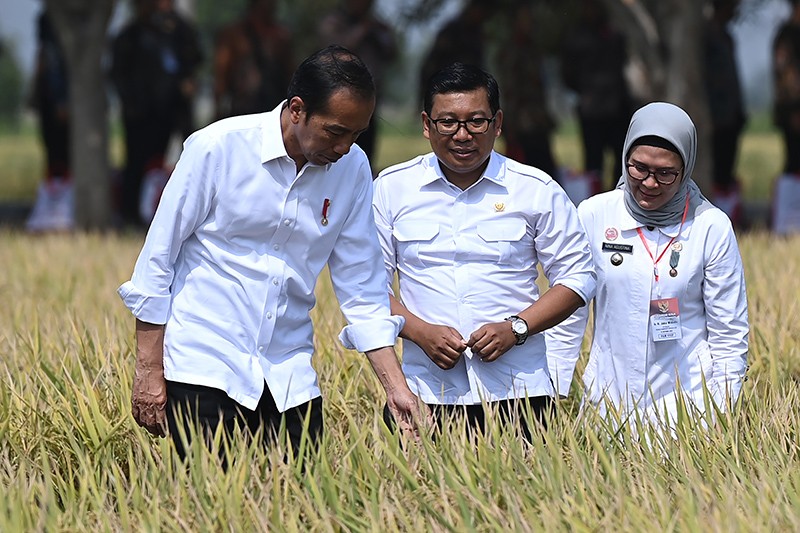 Presiden Jokowi Tinjau Petani Panen Padi di Indramayu - Bagian 2