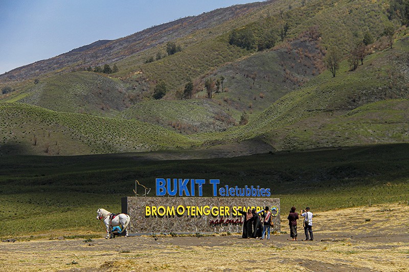 Kondisi Terkini Bukit Teletubbies Gunung Bromo Kembali Menghijau - Bagian 3