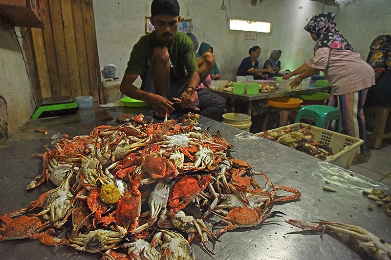 Ekspor Rajungan Hasil Laut Banten ke Jepang, Korsel dan Amerika Serikat - Bagian 1