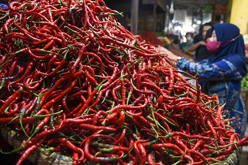 Harga Cabai Merah Naik Rp10.000 di Medan, Jadi Segini - Bagian 1