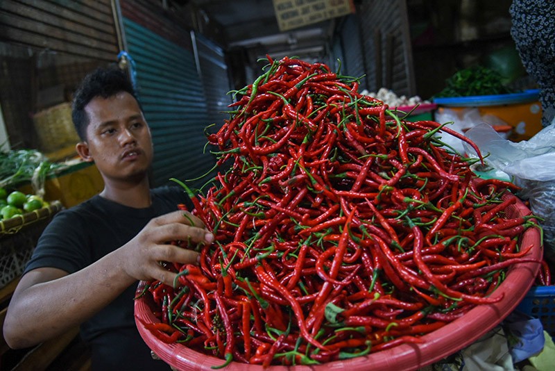 Harga Cabai Merah Naik Rp10.000 di Medan, Jadi Segini - Bagian 2