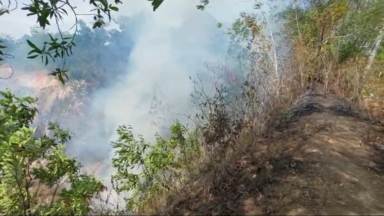 Lubang Tambang Batubara di Tanah Laut Kalsel Terbakar, Warga Ngungsi