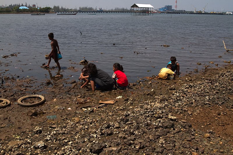 Berburu Cacing Laut di Kolaka, Harga Jual Rp60 Ribu per Kilogram - Bagian 2