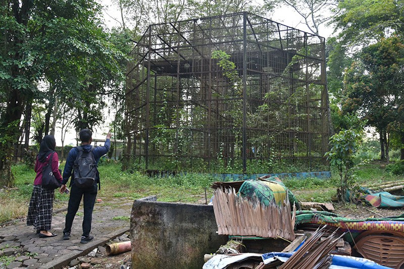 Kondisi Kebun Binatang Medan Zoo Terbengkalai, Nasib Hewan Dilindungi Terancam - Bagian 3