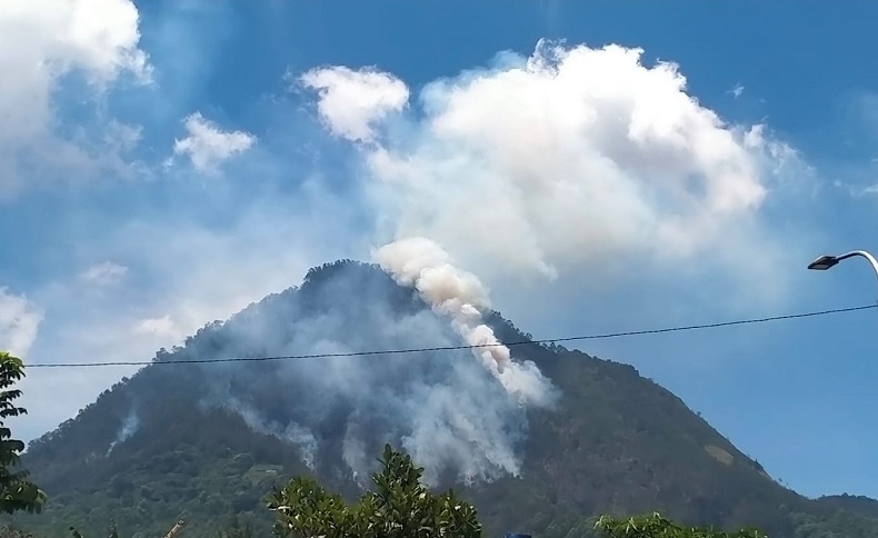 Kebakaran di Gunung Panderman Batu Berhasil Dipadamkan, 29 Hektare Lahan Hangus Terbakar 
