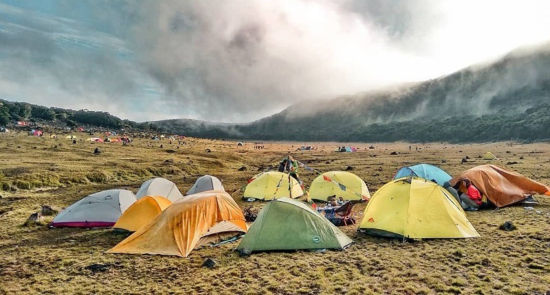 Pendakian Gunung Gede Pangrango Ditutup hingga 12 April 2026, Ini Alasannya