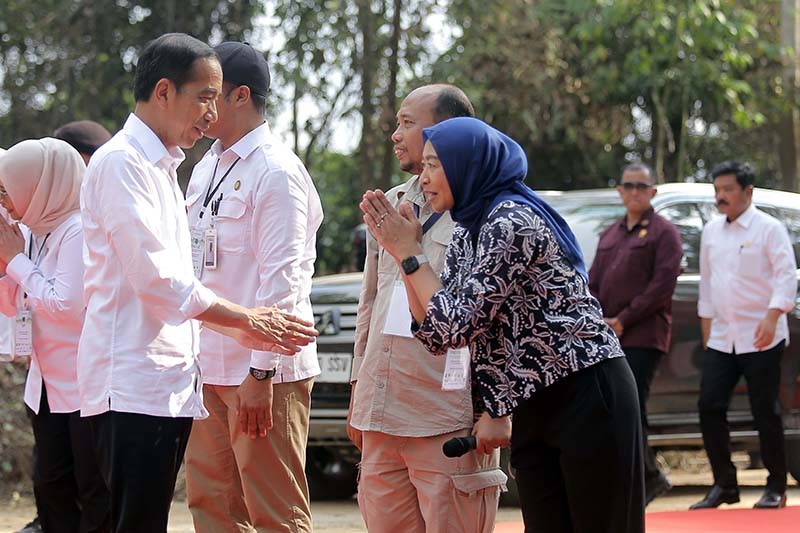 Miniatur Hutan Hujan Tropis Strategi IKN Nusantara sebagai Net Zero City pada 2045 - Bagian 1