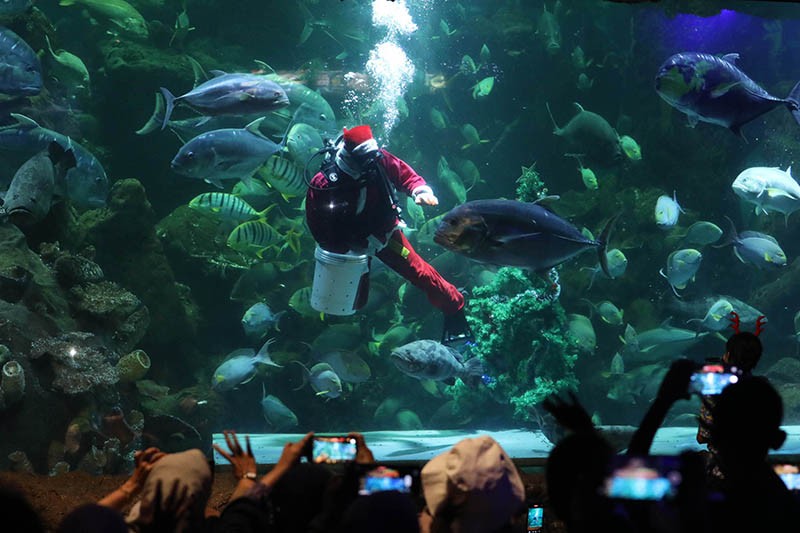 Aksi Sinterklas Menyelam bersama Ratusan Ikan di Akuarium Raksasa - Bagian 1
