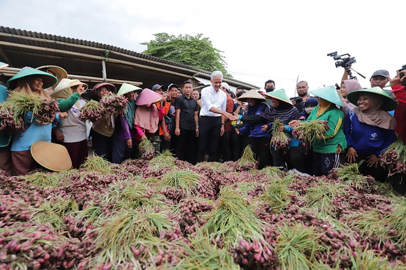 Dialog dengan Petani Bawang Merah di Brebes, Ganjar Catat 3 Keluhan Utama - Bagian 1