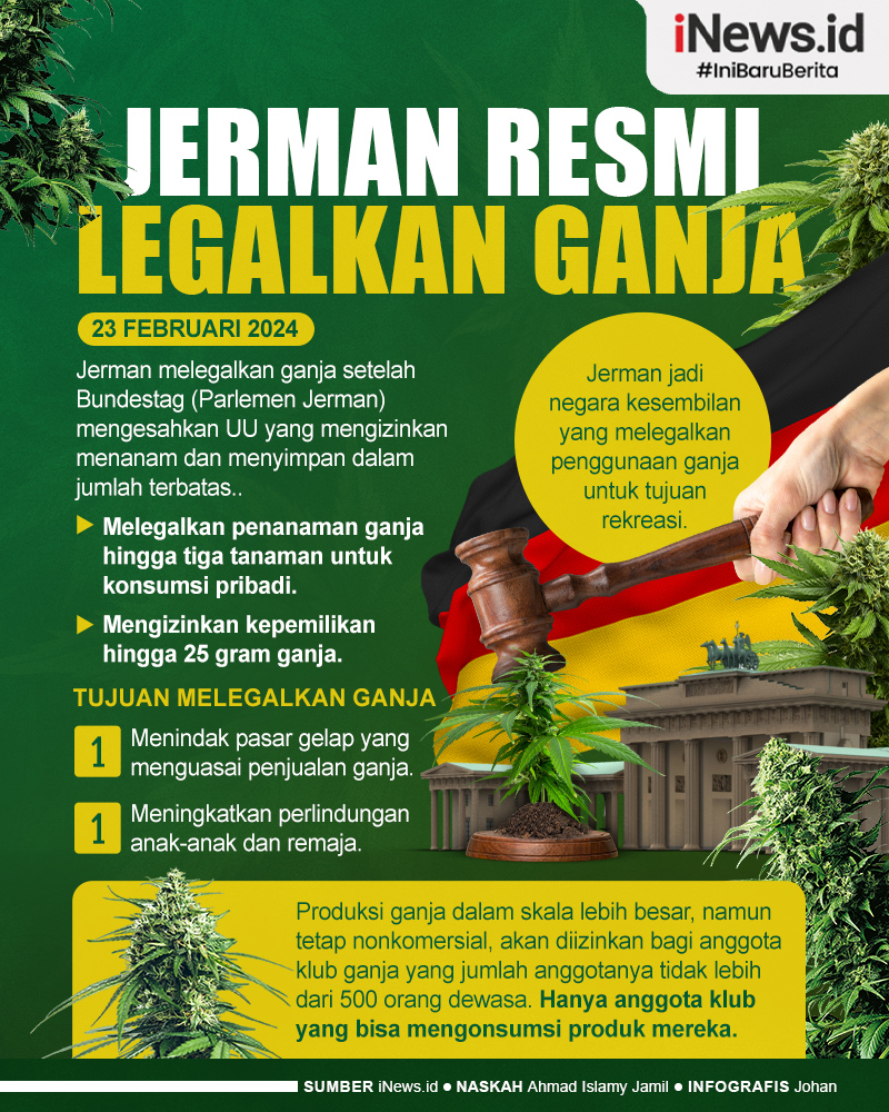 Infografis Jerman Resmi Legalkan Ganja