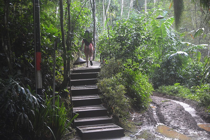 Glamping Menikmati Pesona Alam Hutan Pinus Purworejo di Ketinggian 850 Mdpl - Bagian 4