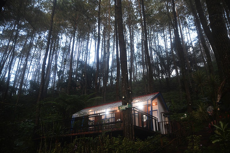 Glamping Menikmati Pesona Alam Hutan Pinus Purworejo di Ketinggian 850 Mdpl - Bagian 2