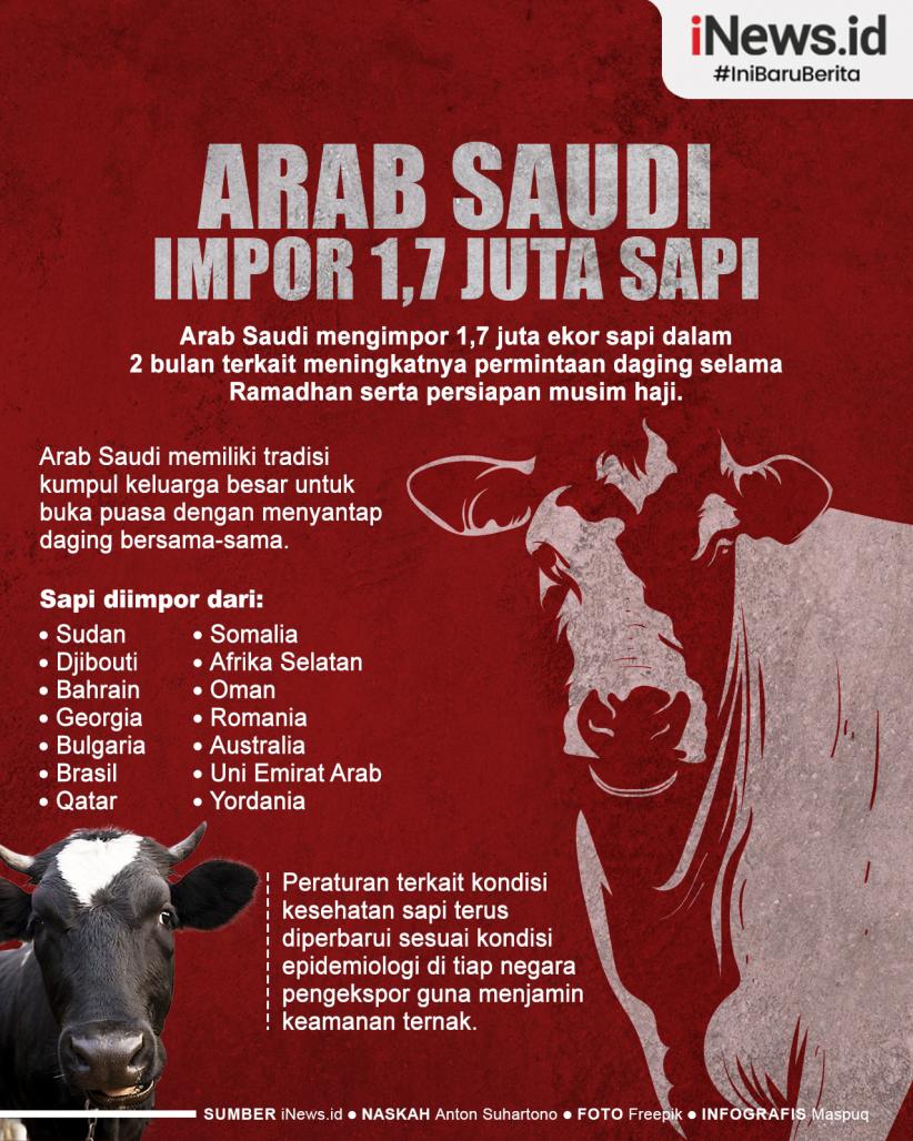 Infografis Arab Saudi Impor 1,7 Juta Sapi