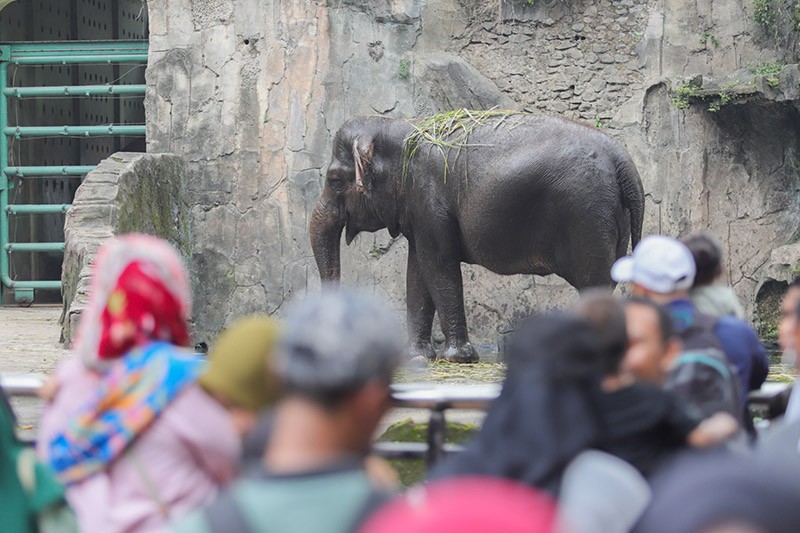 Taman Margasatwa Ragunan Ramai saat Libur Hari Kedua Lebaran 2024 - Bagian 1