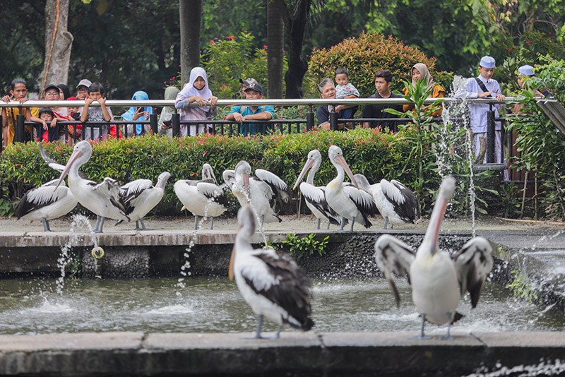 Taman Margasatwa Ragunan Ramai saat Libur Hari Kedua Lebaran 2024 - Bagian 4