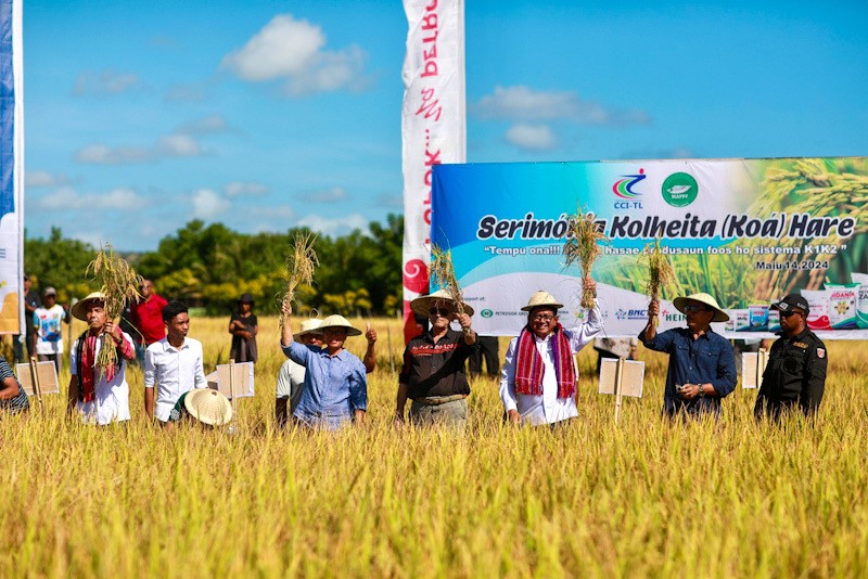 Dukung Perkembangan Pangan Dunia, Petrokimia Gresik Tingkatkan Produktivitas Padi di Timor Leste - Bagian 1