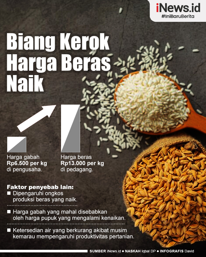 Infografis Biang Kerok yang Membuat Harga Beras Melambung Tinggi