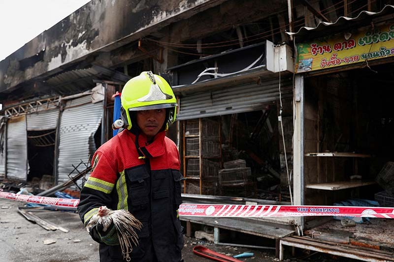 Ribuan Kucing, Anjing dan Hewan Eksotis Mati Terpanggang akibat Kebakaran di Thailand - Bagian 4