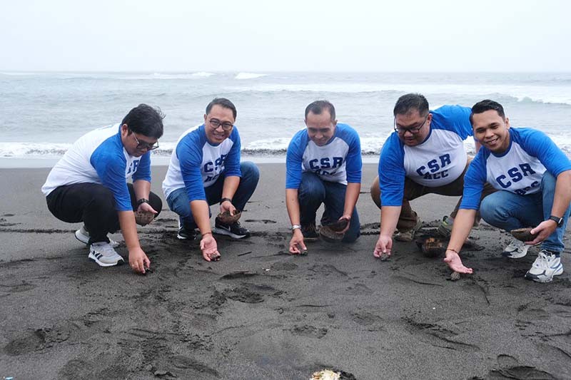 Dukung Konservasi Penyu di Bali - Bagian 1