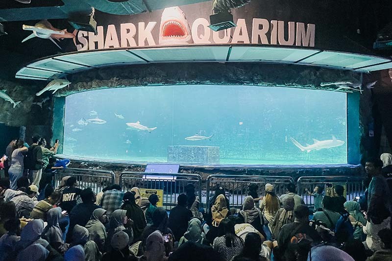 Momen Anak Pesisir Ikuti Wisata Edukasi Mengenal Biota Laut  - Bagian 2
