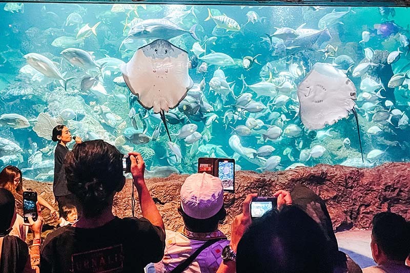 Momen Anak Pesisir Ikuti Wisata Edukasi Mengenal Biota Laut  - Bagian 1