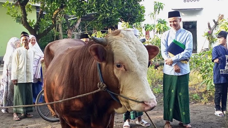 Canda Ganjar Lihat Sapi Kurban di Sleman Besar-Besar: Podo-Podo Bantenge