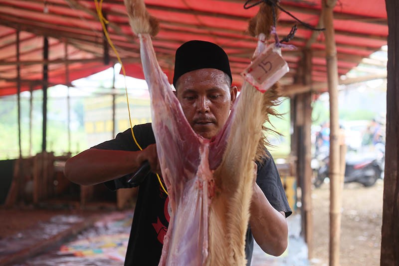 Mahasiwa UIN Syarif Hidayatullah Jakarta Potong Hewan Kurban untuk Masyarakat Ciputat - Bagian 5