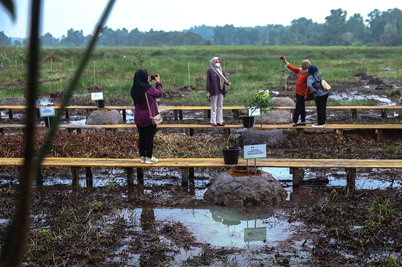 Penanaman 55 Spesies Pohon Langka - Bagian 3