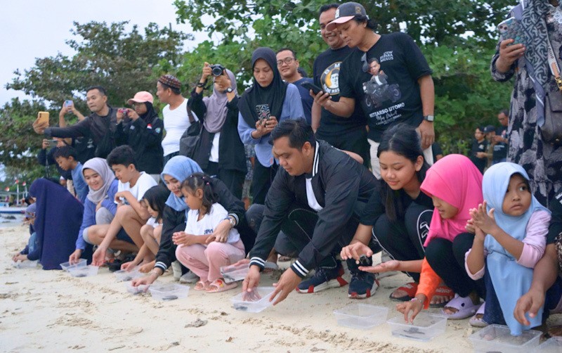 Momen Puluhan Ragam Jenis Anak Penyu Dilepas ke Perairan Karimunjawa - Bagian 1