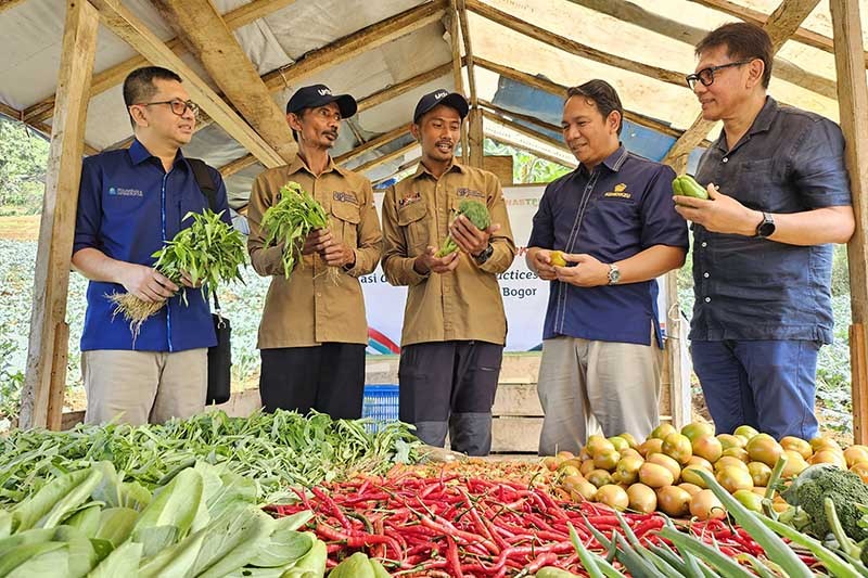 Sertifikasi GAP Bagi Petani di Sukawangi Bogor - Bagian 2