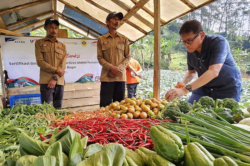 Sertifikasi GAP Bagi Petani di Sukawangi Bogor - Bagian 1
