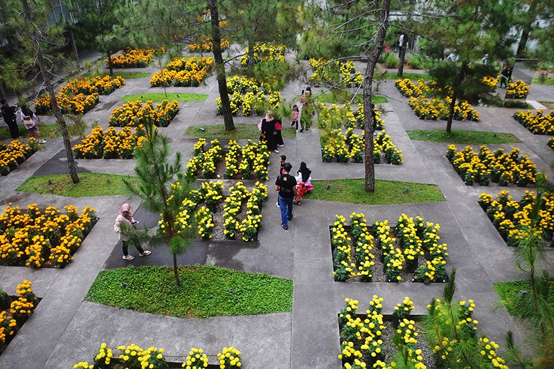  Aroma Wangi Rumah Atsiri di Kaki Gunung Lawu - Bagian 1