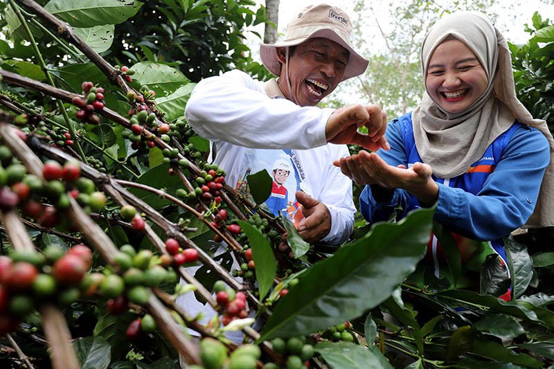 Kampung Kopi Luwak Jenis Liberika Membawa Kesejahteraan bagi Masyarakat Kaltim - Bagian 1