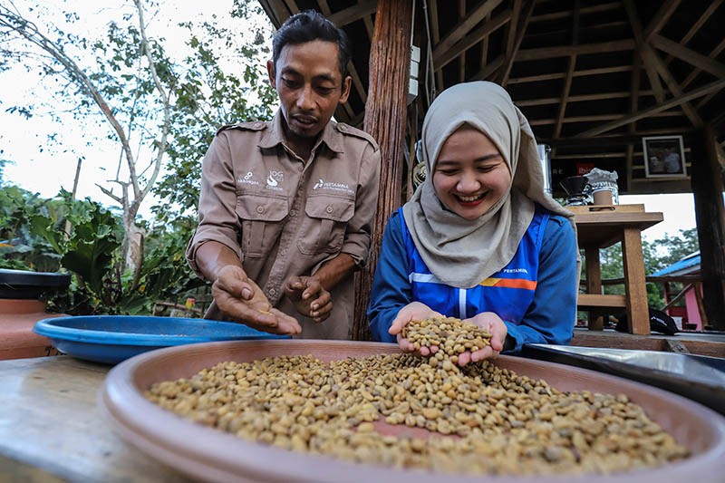 Kampung Kopi Luwak Jenis Liberika Membawa Kesejahteraan bagi Masyarakat Kaltim - Bagian 3