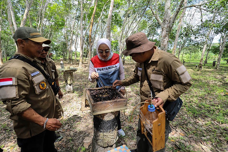 Kelompok Tani Hutan Trigona Reborn Sukses Produksi Madu Kelulut - Bagian 1