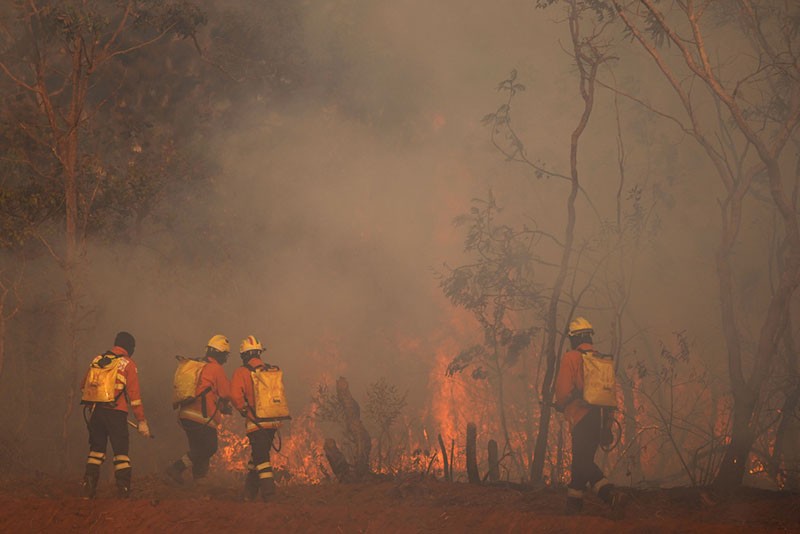 Kebakaran Hutan Taman Nasional Brasilia Ulah Manusia - Bagian 4