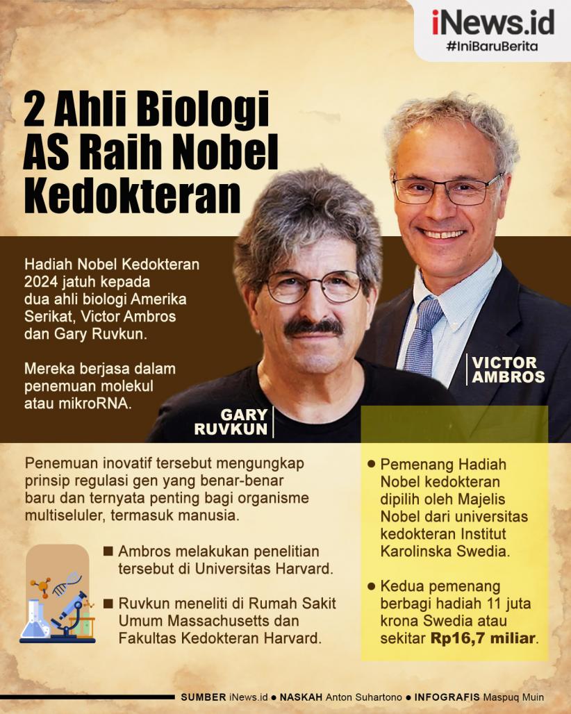 Infografis 2 Ahli Biologi AS Raih Hadiah Nobel Kedokteran 2024 