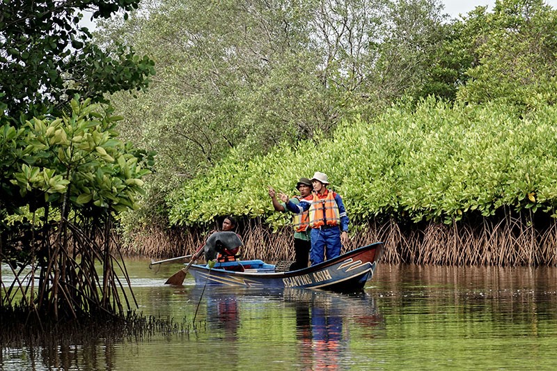 Konservasi Mangrove Segara Anakan Cilacap - Bagian 4