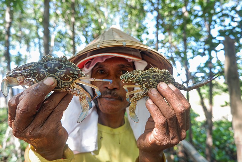 Menjaga dan Merawat Mangrove Pesisir Makassar - Bagian 2