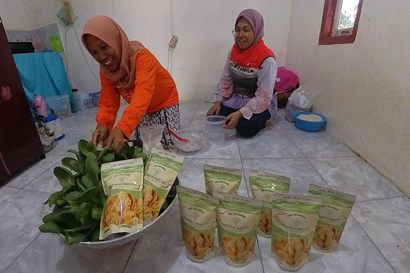 Program Budi Daya Mina Padi di Banyuasin - Bagian 1