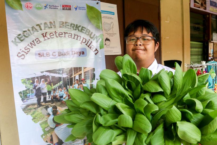 Siswa Berkebutuhan Khusus Panen Pakcoy di Kebun Sekolah - Bagian 5