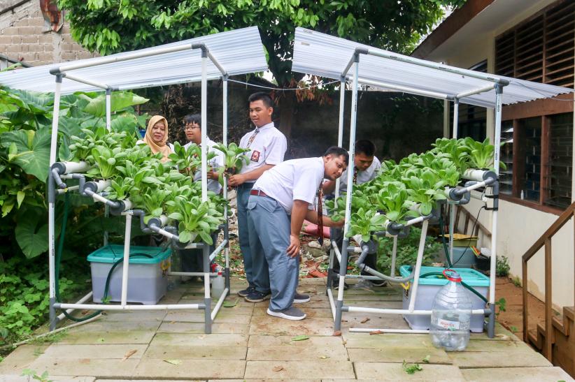 Siswa Berkebutuhan Khusus Panen Pakcoy di Kebun Sekolah - Bagian 3