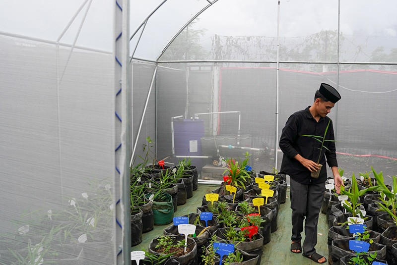 Aktivitas Santri di Greenhouse Pondok Pesantren Tahfidz Qur'an Daarul 'Uluum Lido - Bagian 4