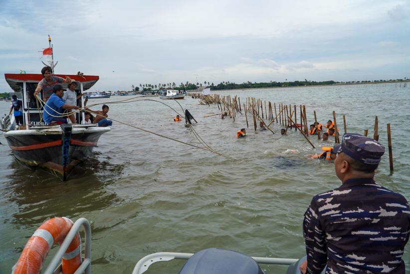 Pembongkaran Pagar Laut Ilegal, TNI hingga Nelayan Turun Tangan - Bagian 2