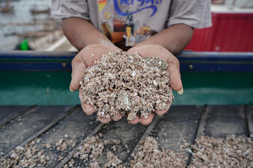 Nelayan Cilincing Daur Ulang Limbah Cangkang Kerang Jadi Material Bangunan - Bagian 2