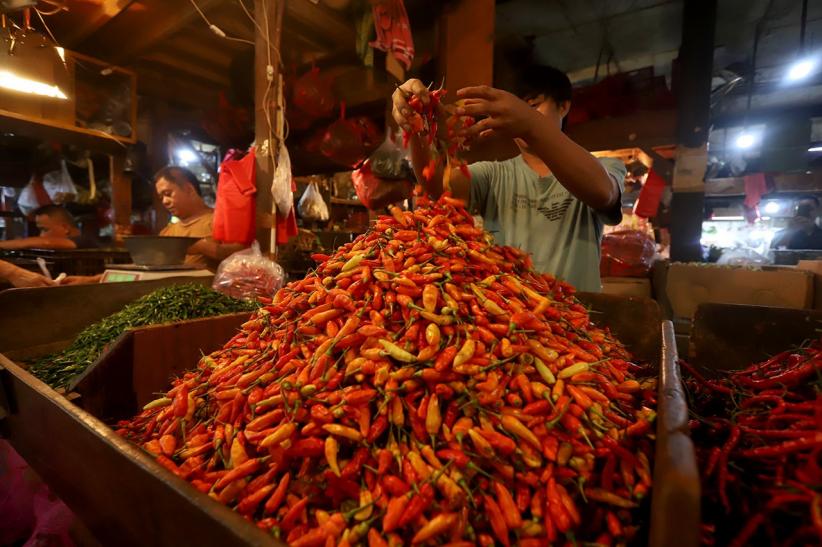 Harga Cabai Rawit hingga Bawang Merah Turun Sumbang Deflasi Bulan Mei 2025 - Bagian 1